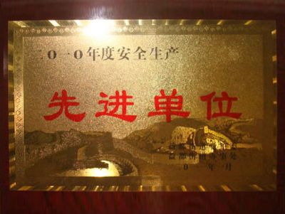 点击查看详细信息<br>标题：2010年度安全生产先进单位 阅读次数：4473